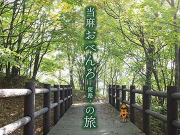 當麻（たいま）の町は冬日和！パノラマと寒花を満喫♪ | ええ